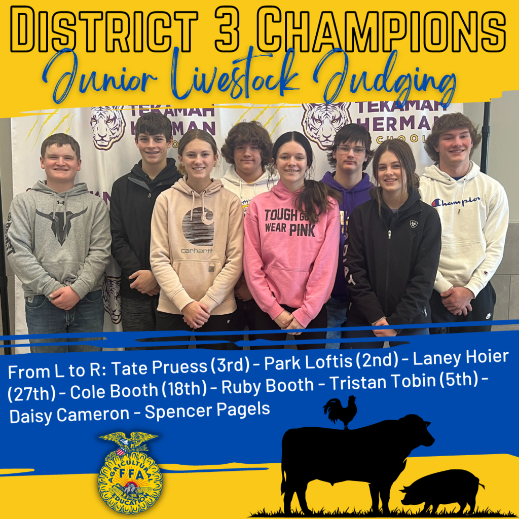 Livestock District Champs